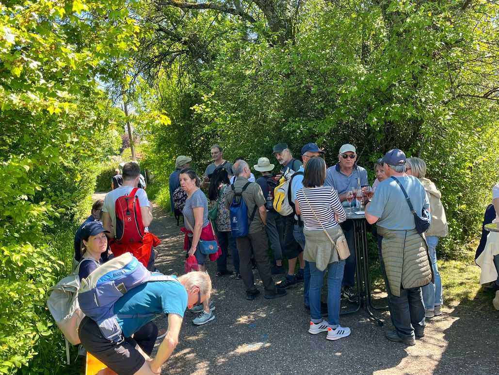 Brunnenwandertag 2026