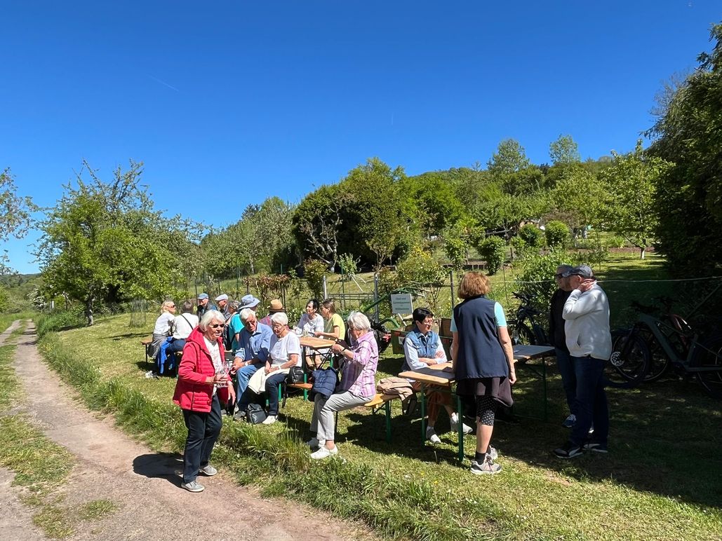 Brunnenwandertag 2026